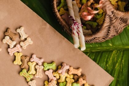 egészséges kutyakeksz házilag